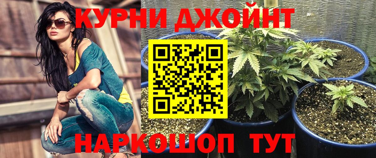 МАРИХУАНА индика  Вход с VPN  МАРИХУАНА AK-47  Марихуана ГИДРОПОН  Усть-Джегута 